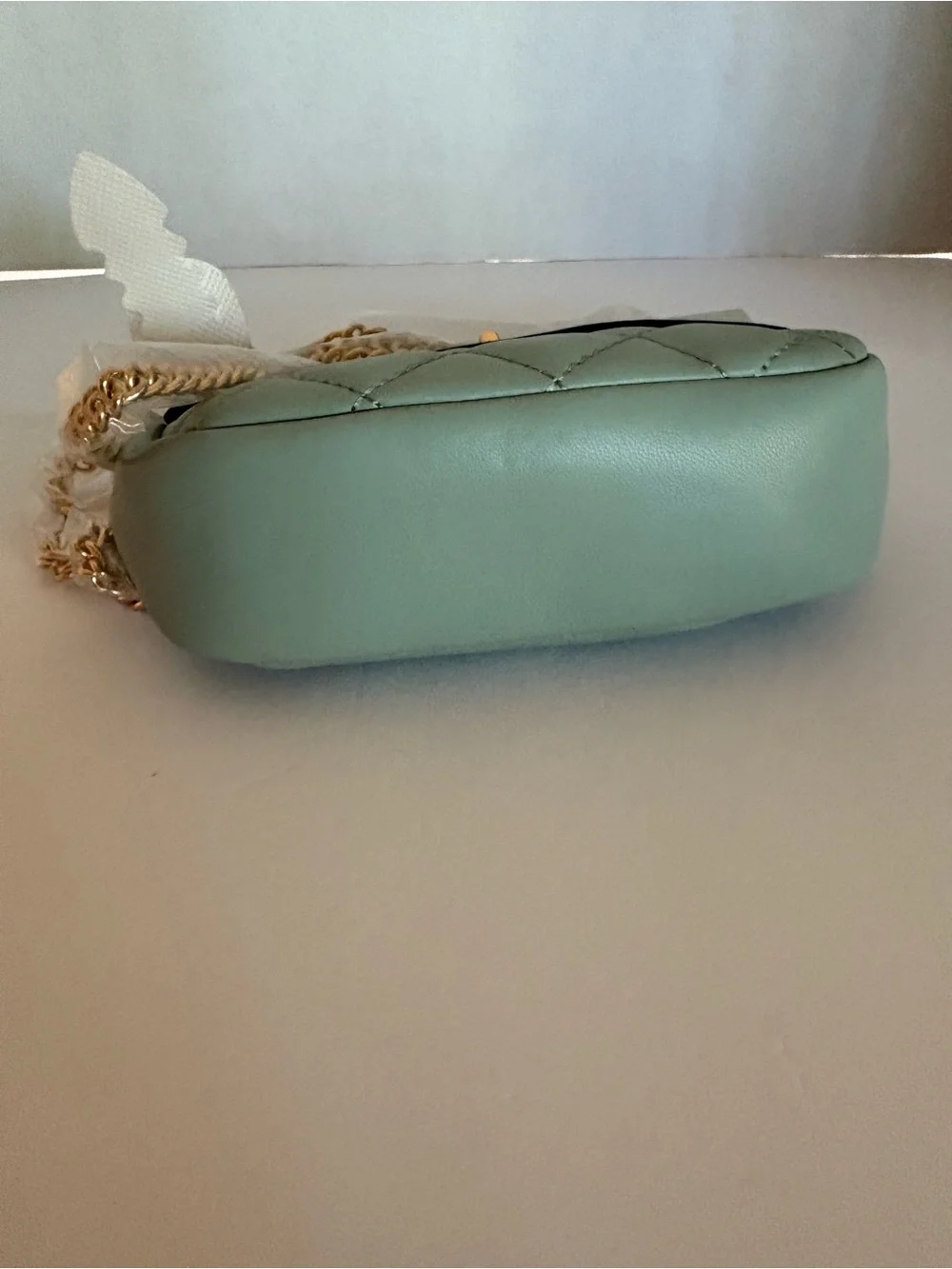 NWT Mint Green Quilted Mini Crossbody Bag Gold Chain Accent